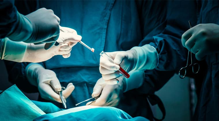 Biopsias Quirúrgicas (Piel, Ganglios, Órganos Abdominales)